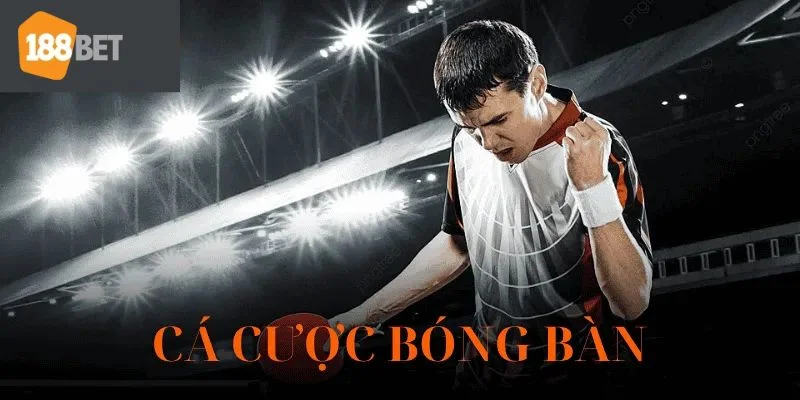 Cá Cược Bóng Bàn Hứa Hẹn Mang Đến Sự Kịch Tính Tại 188BET