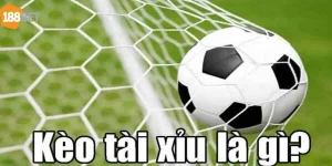 Kèo Tài Xỉu Là Gì? Cập Nhật Kiến Thức Cược Mới Nhất 2025